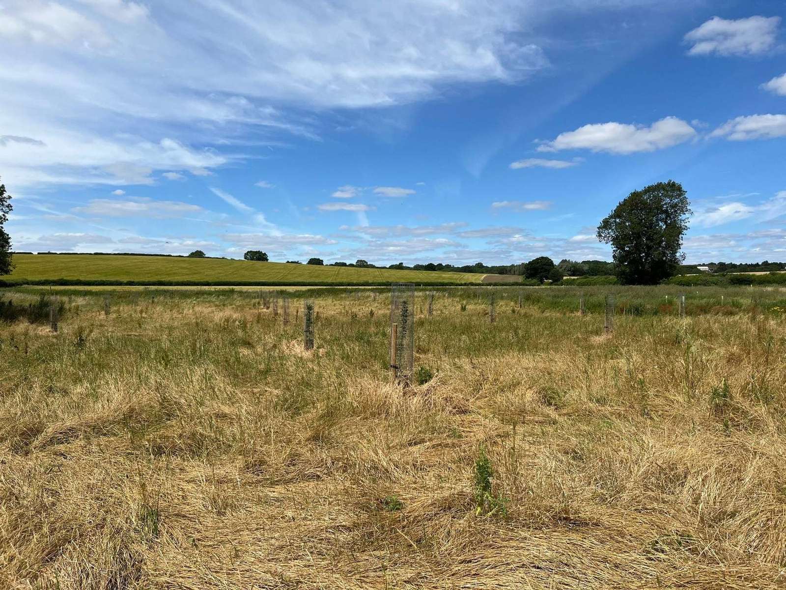 Solar developer: Area and hedgerow units for a solar farm in North Hertfordshire