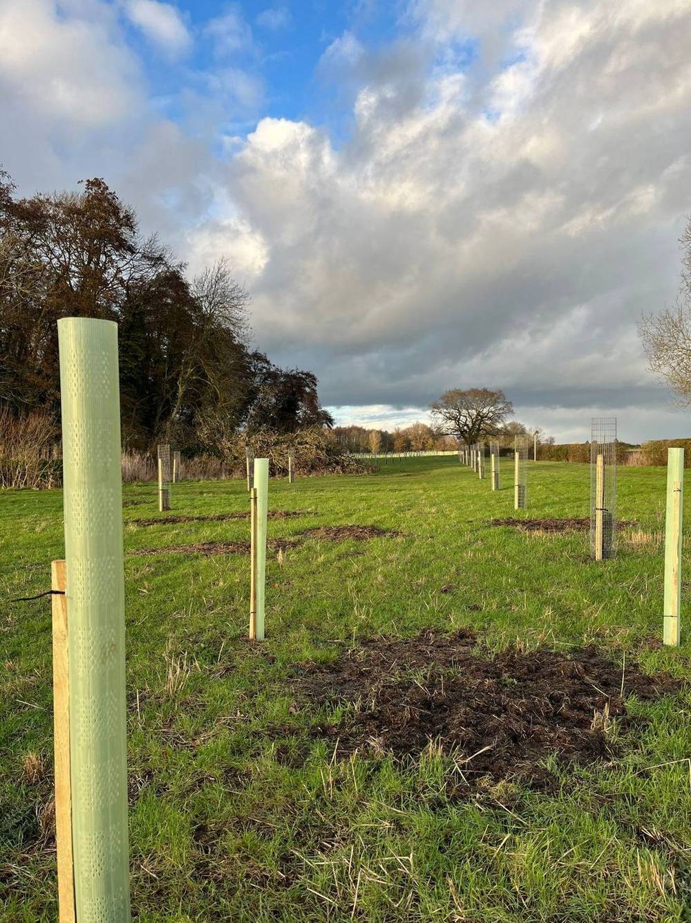 Meppershall habitat bank, Bedfordshire and Cambridgeshire Claylands