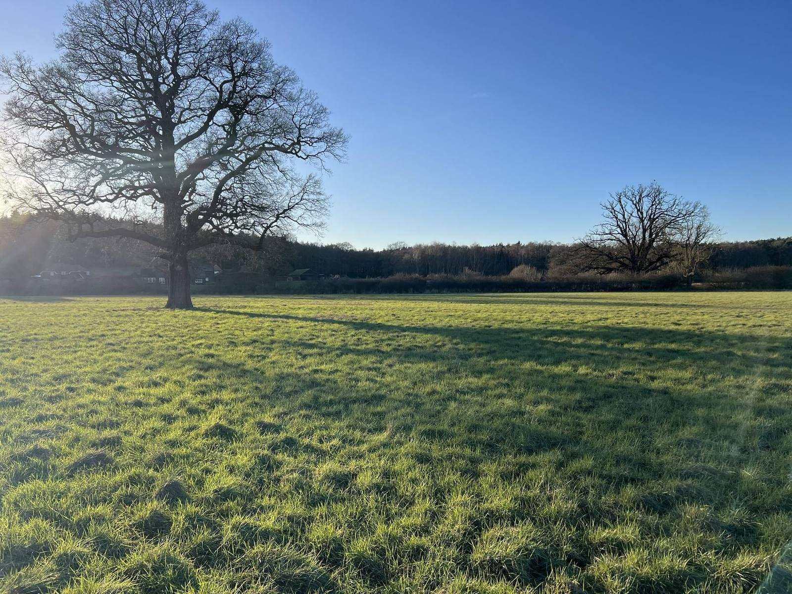 Netflix: Units from two of our habitat banks for Longcross Studios