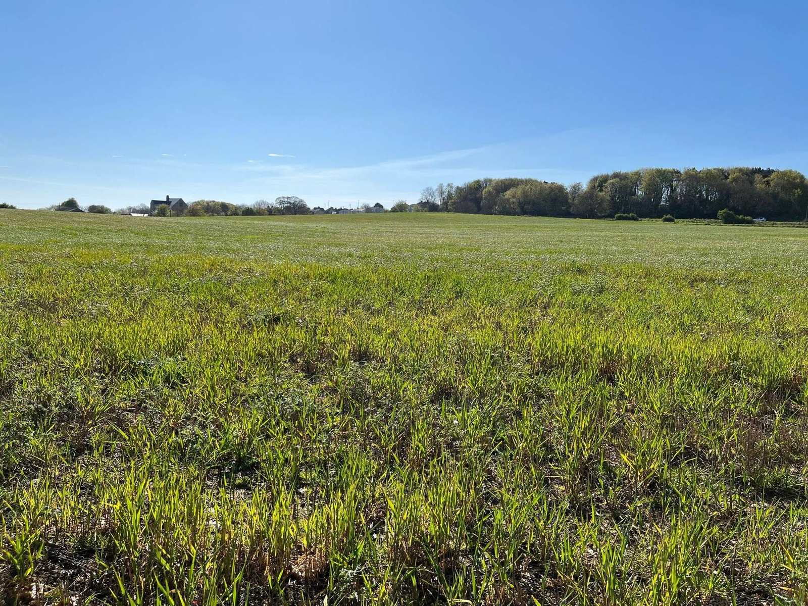Sunderland City Council: Area and ditch units from four habitat banks for a Sunderland scheme