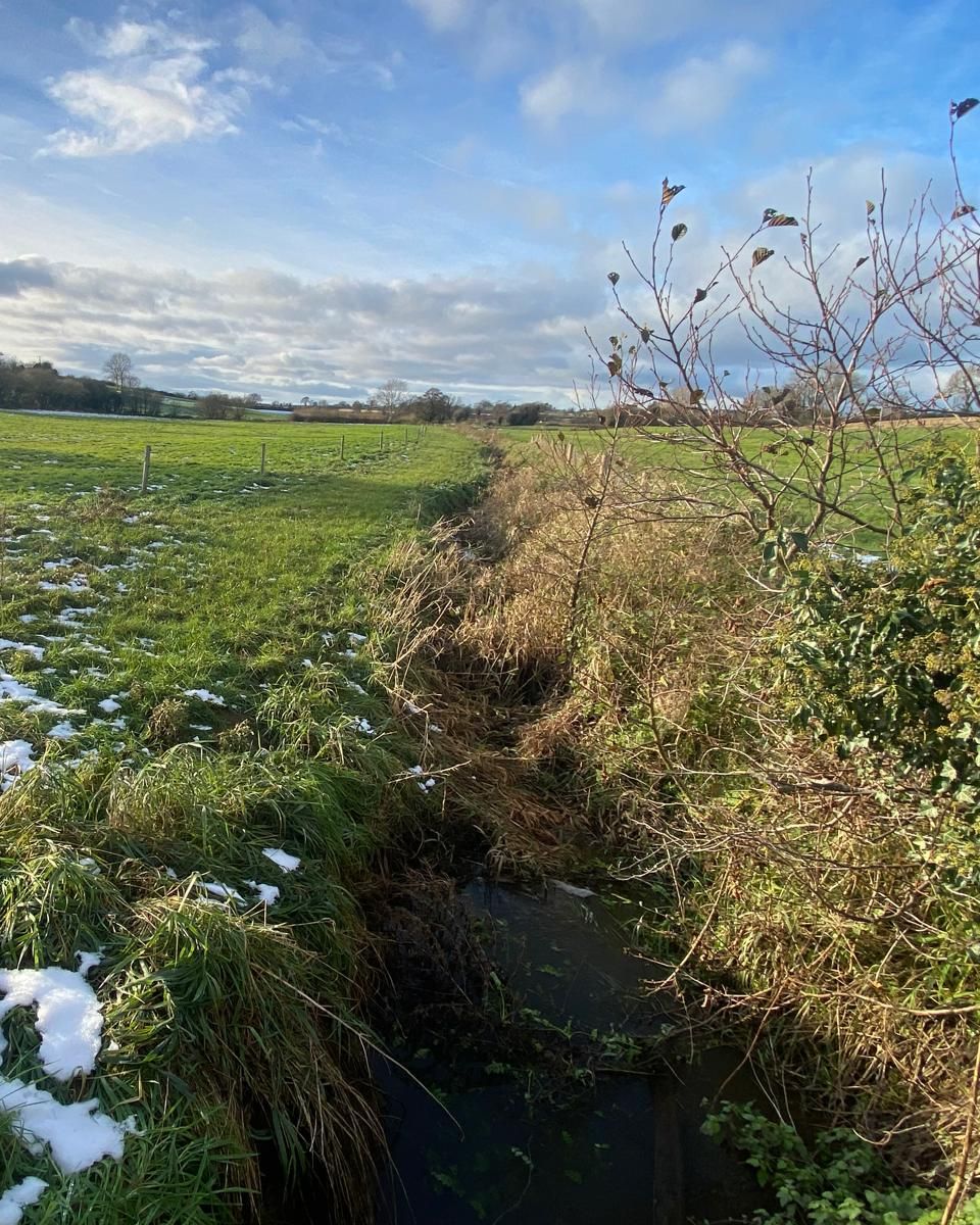 Marbury habitat bank, Shropshire, Cheshire and Staffordshire Plain