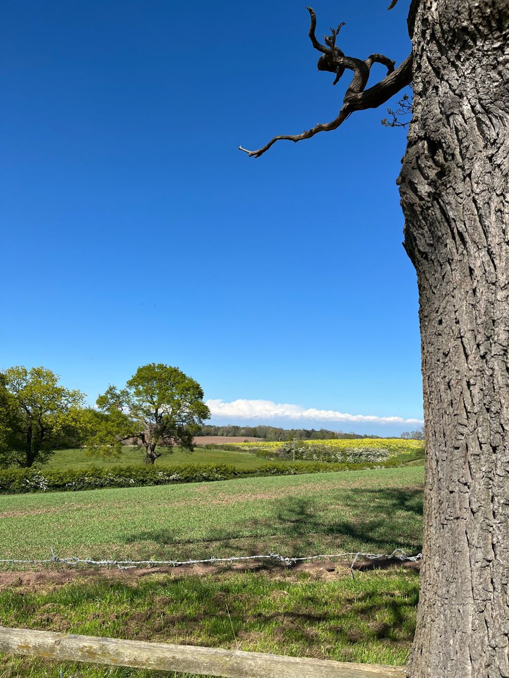 Marbury habitat bank, Shropshire, Cheshire and Staffordshire Plain