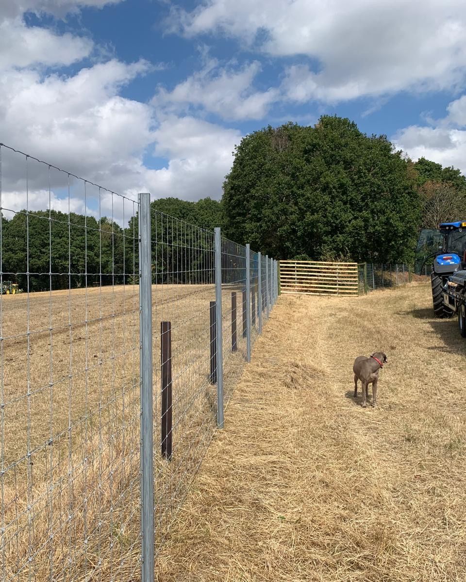 Sutton Springs habitat bank, Nottinghamshire, Derbyshire and Yorkshire Coalfield