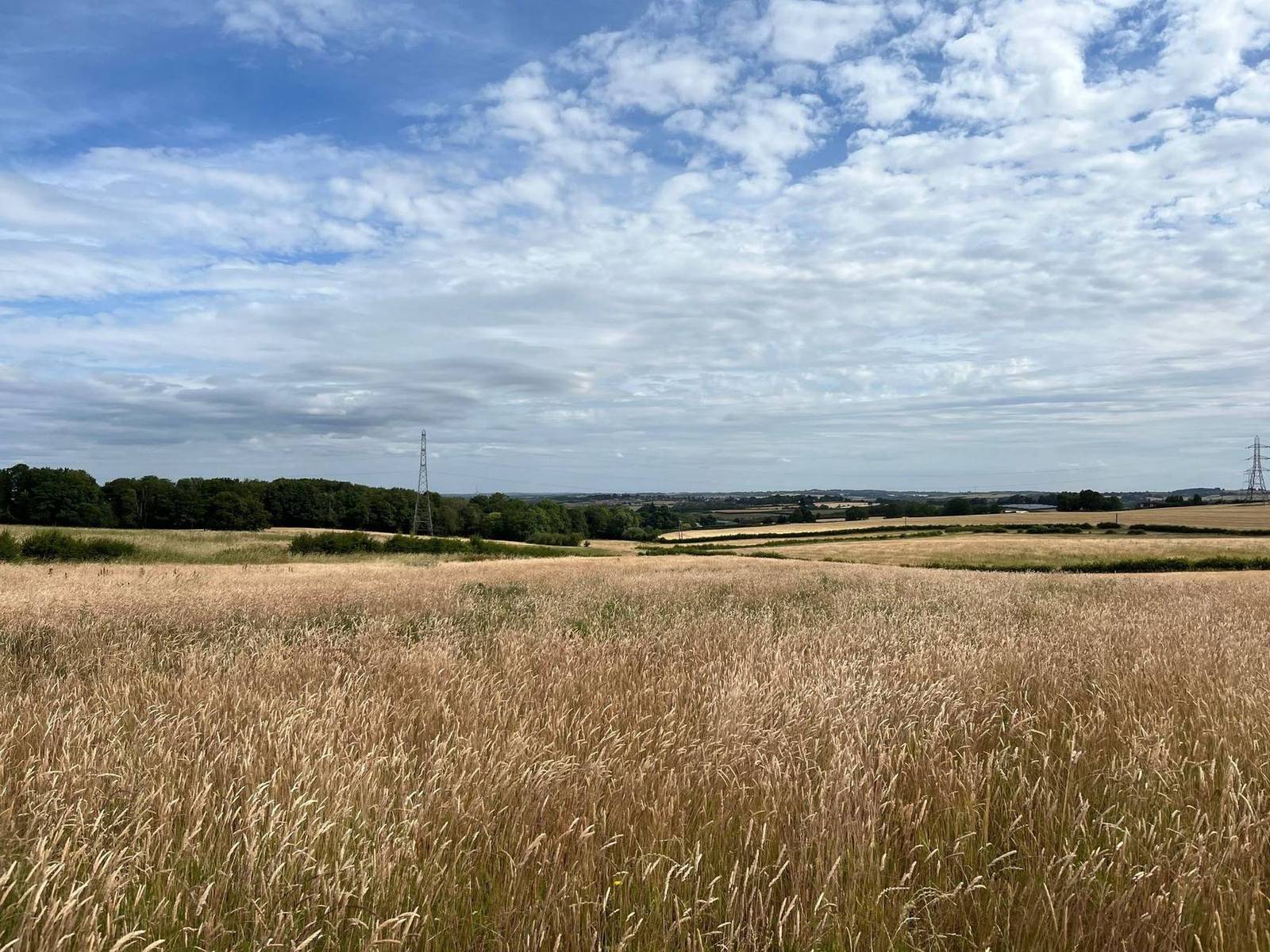 Tritax: Biodiversity units and bespoke skylark mitigation on one scheme