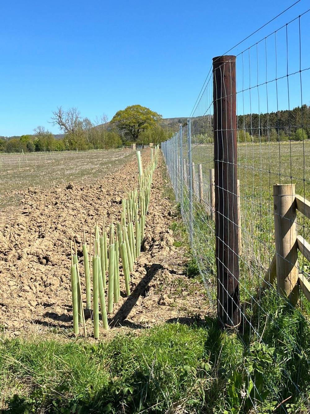 Stokesley habitat bank, Tees Lowlands