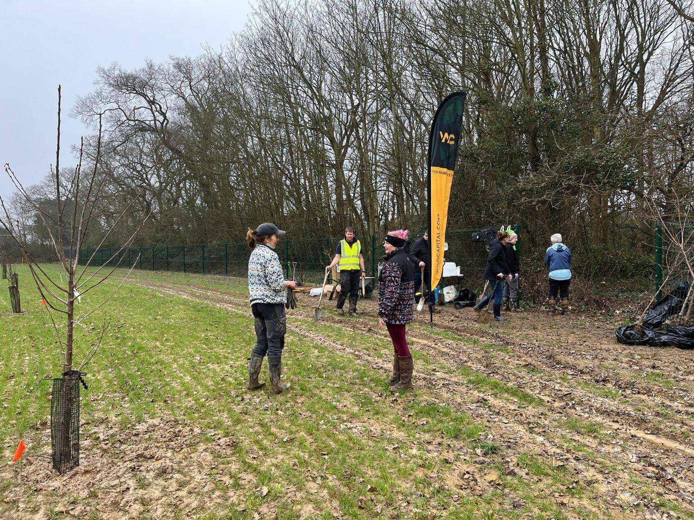 Volunteers planting trees at our Stubbington site